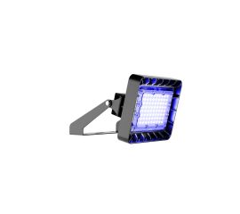 TL-PROM APS FL Color