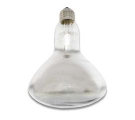 Лампа накаливания зеркальная