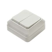 Выключатель 2-кл. белый о/у 10А IP20 «ЛАДОГА» TDM