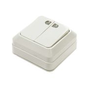 Выключатель 2-кл. с подсветкой белый о/у 10А 1123 АKTIV ELECTRO