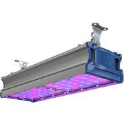 Светильник светодиодный TL-PROM SM FITO 100 RS