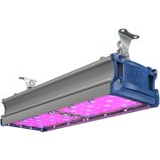 Светильник светодиодный TL-PROM SM FITO 100 VR
